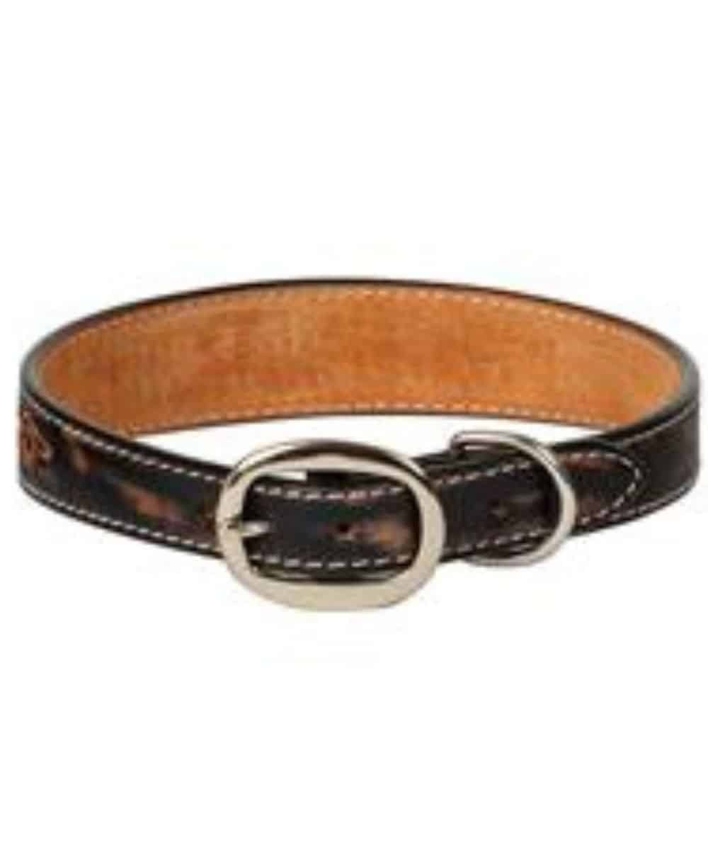 06004-16-b ! desc : ! caption :