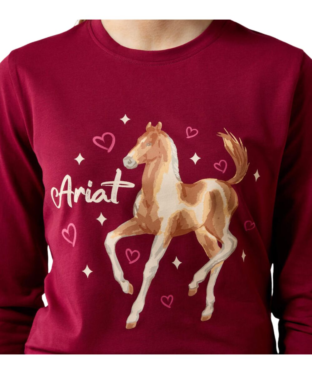A close-up of a person wearing a dark red long-sleeve shirt with a graphic print of a brown and white horse, pink hearts, white sparkles, and the name 'Ariat' in white script.