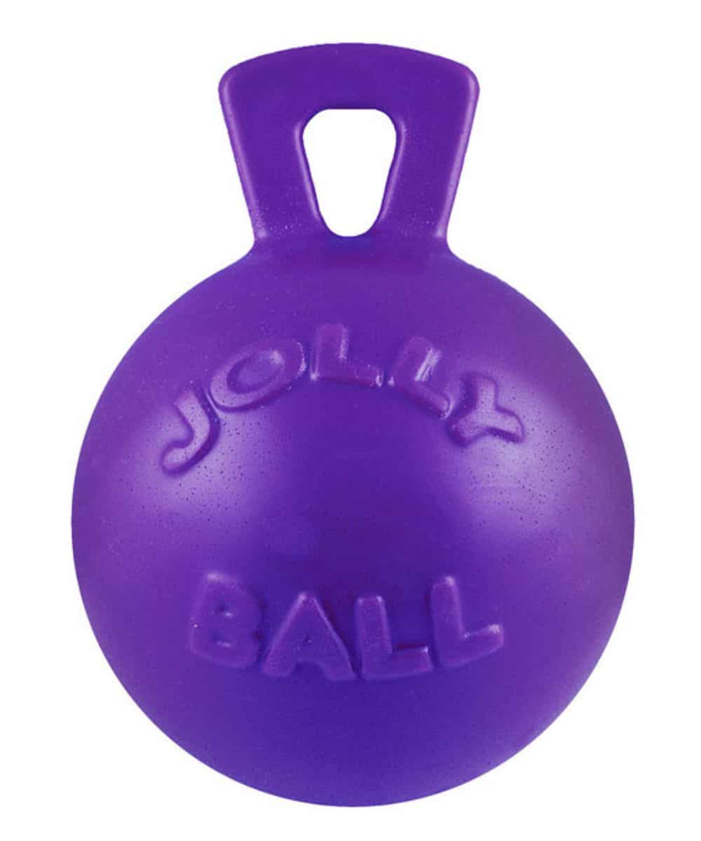 Jolly Pets Tug-N-Toss For Small Dogs