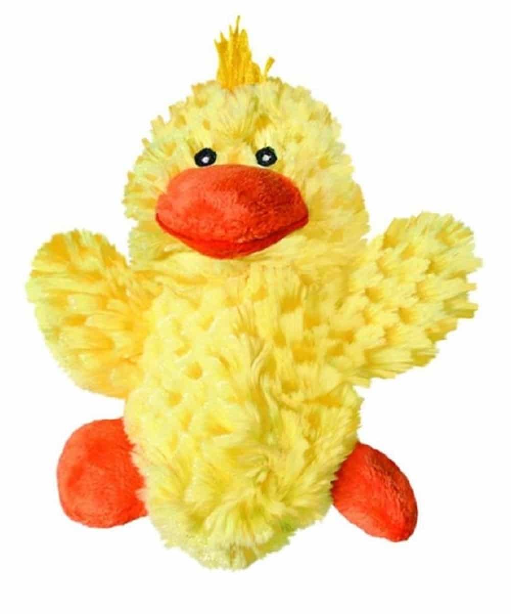 19197-1Bjpg ! desc : ! caption :