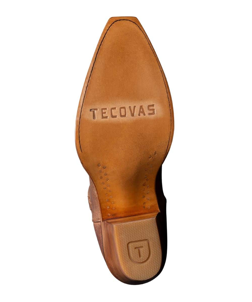 20008 THE DAISY-a ! desc : ! caption :