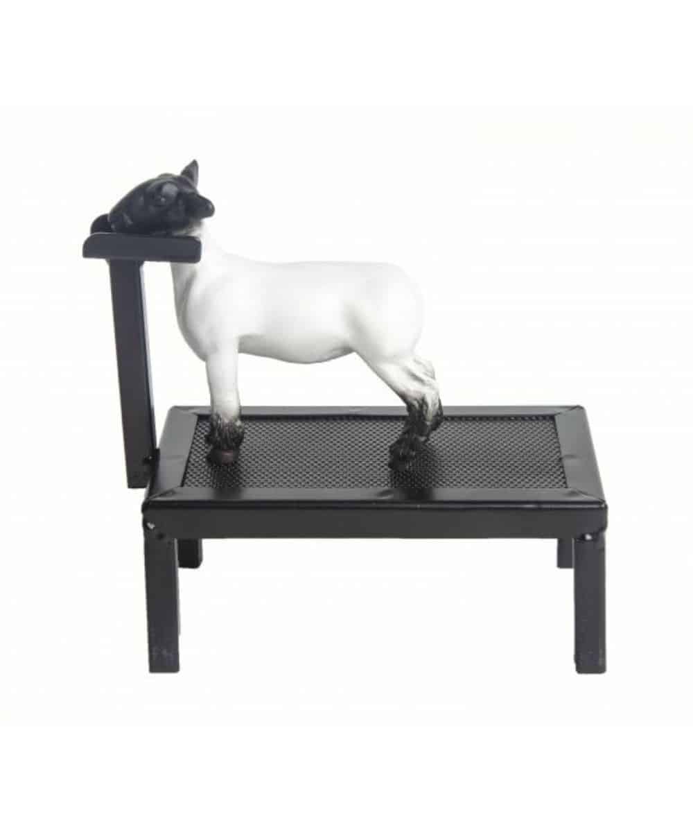 200823-a ! desc : ! caption :