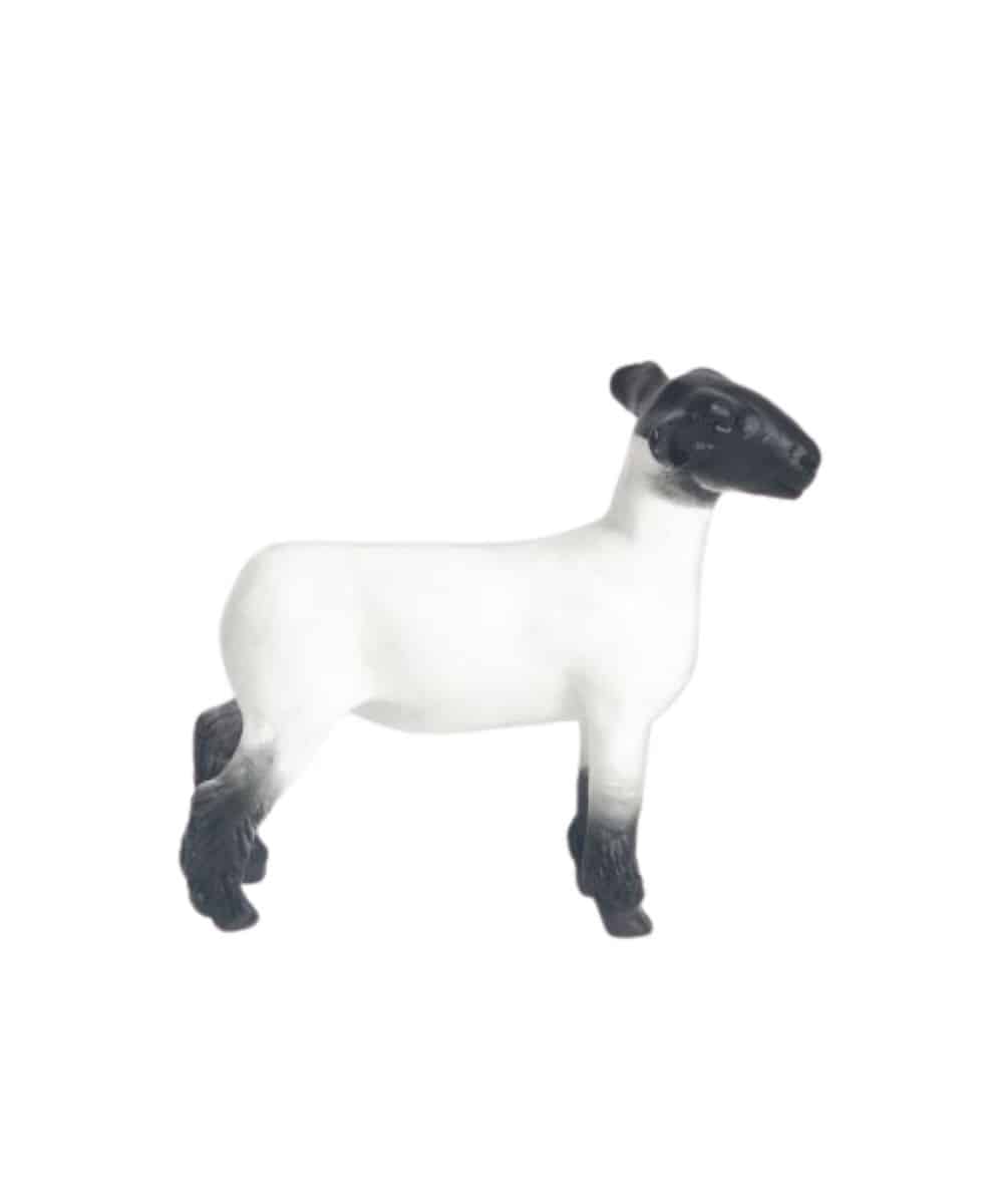 200890-a ! desc : ! caption :