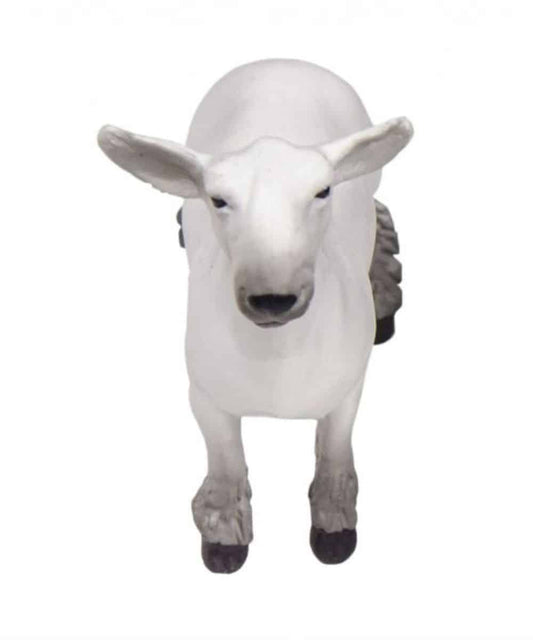 200891-a ! desc : ! caption :