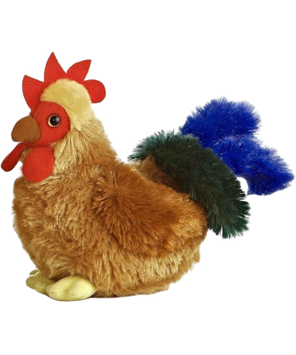 Aurora Cocky Rooster