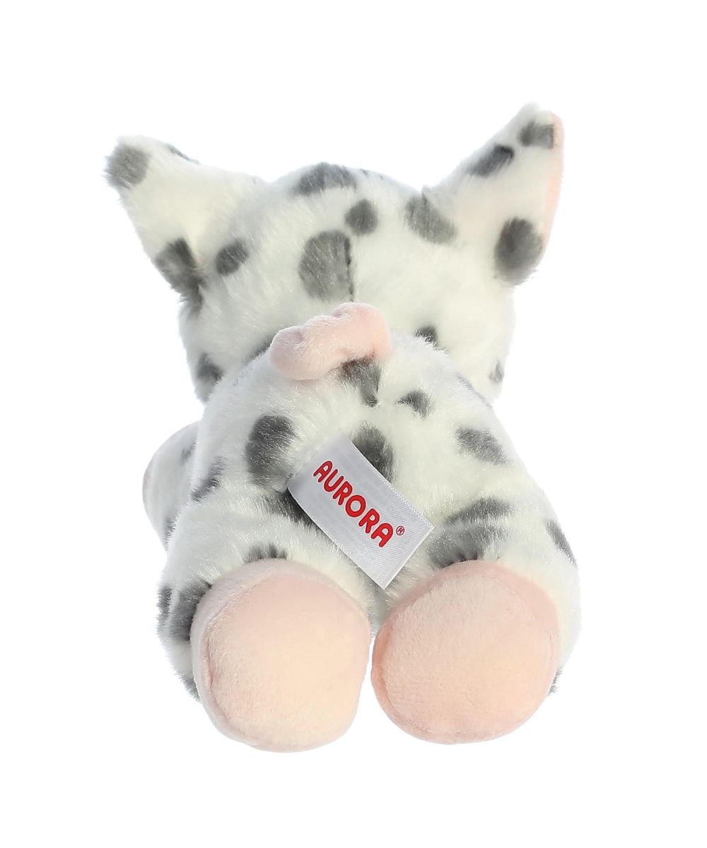 Aurora Spotted Piglet