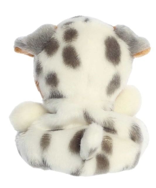 Aurora Sydney Aussie Dog