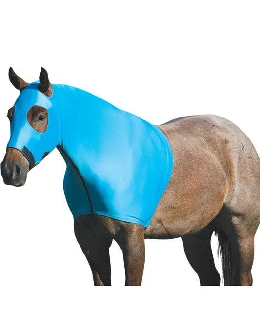 turquoise colored lycra hood On a horse