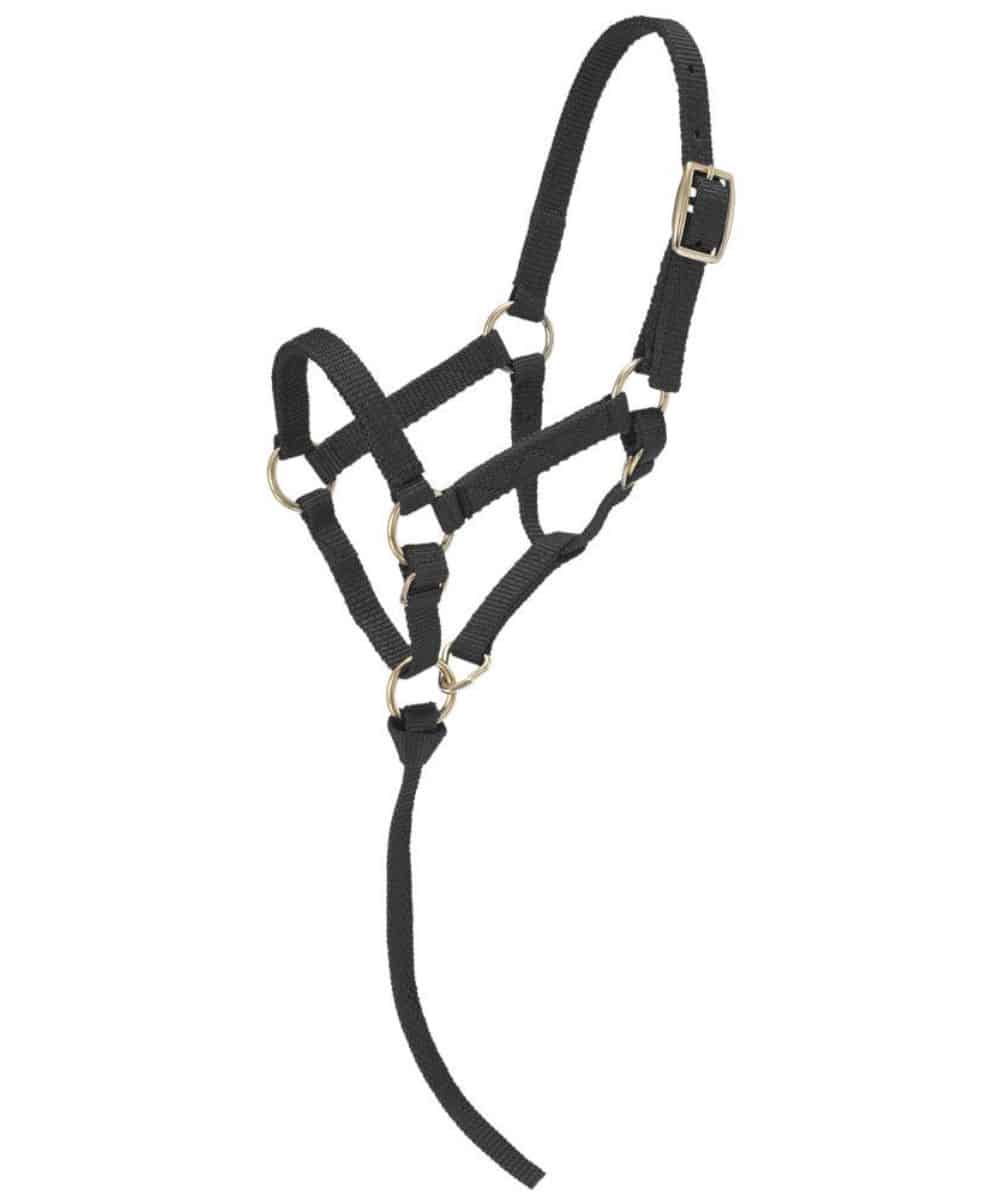 Tough1 Miniature Nylon Halter