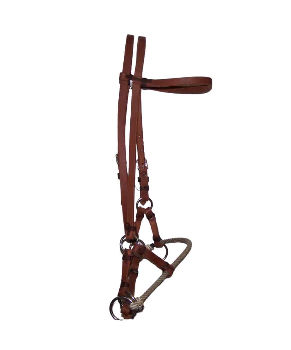 5301-04 ! desc : ! caption :