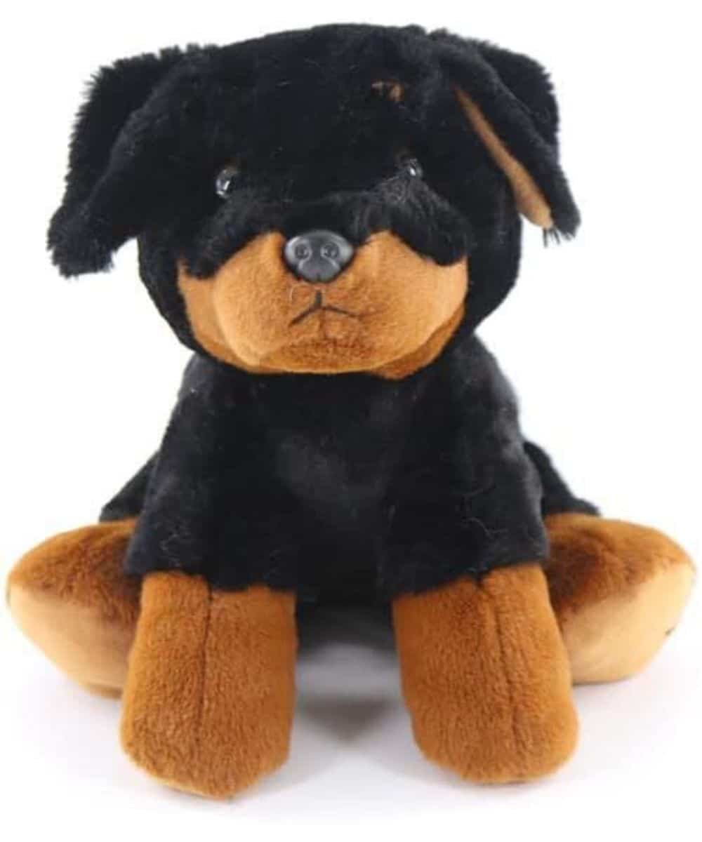 722384 ! desc : ! caption :