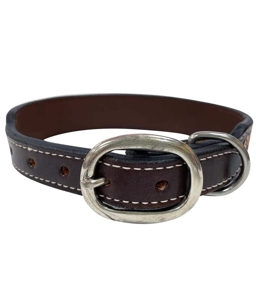 Bar H Equine Cactus Painted Dog Collar
