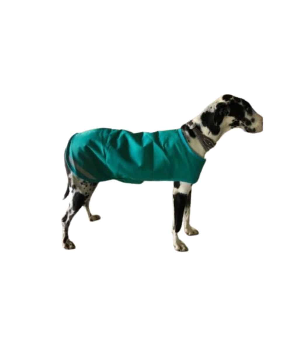 DOGBLANKET-LARGE ! desc : ! caption :