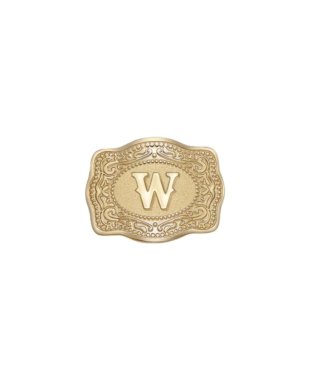 gold belt buckle w initial hatpin on white background