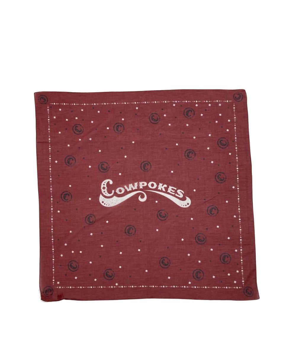 POKINWILDRAG ! desc : ! caption :