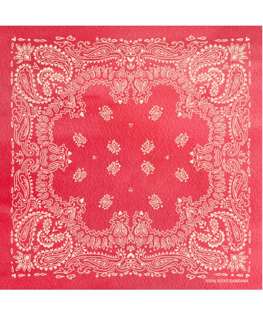 RED BANDANA-a ! desc : ! caption :