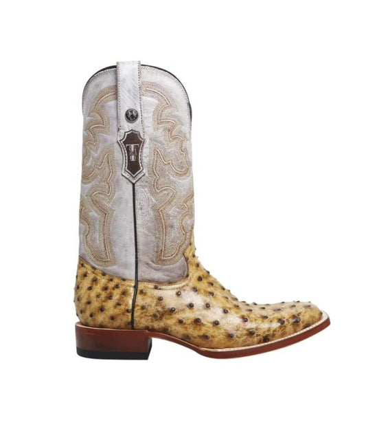 TM207017-a ! desc : ! caption :