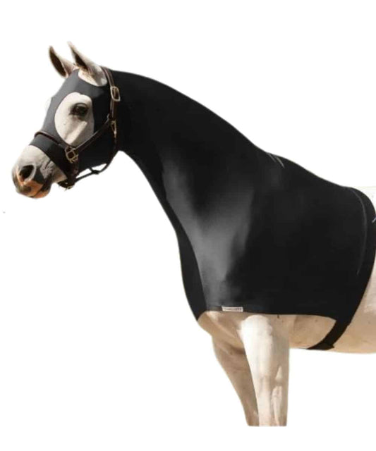 05800 (1) ! desc :  ! caption :