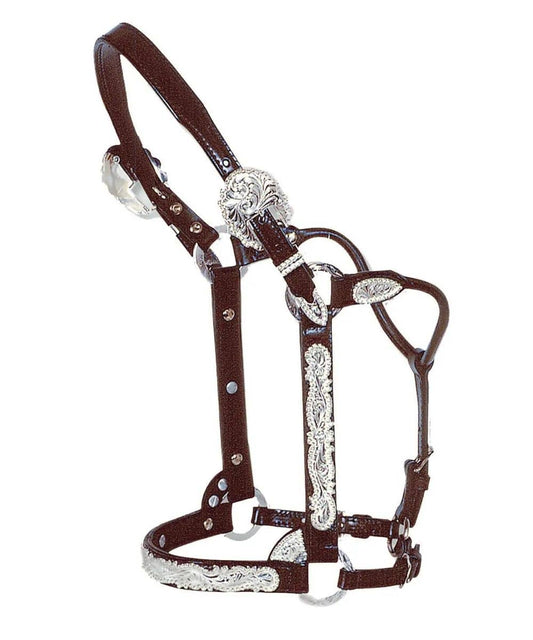 Circle Y Berry Edge Show Halter