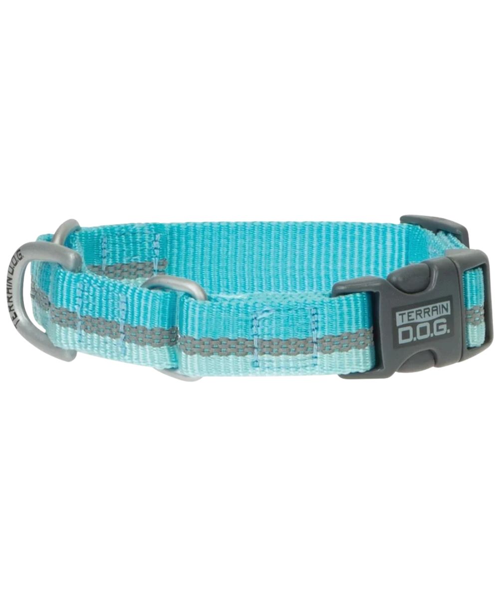 Blue Radiance colored Terrain D.O.G. reflective martingale dog collar