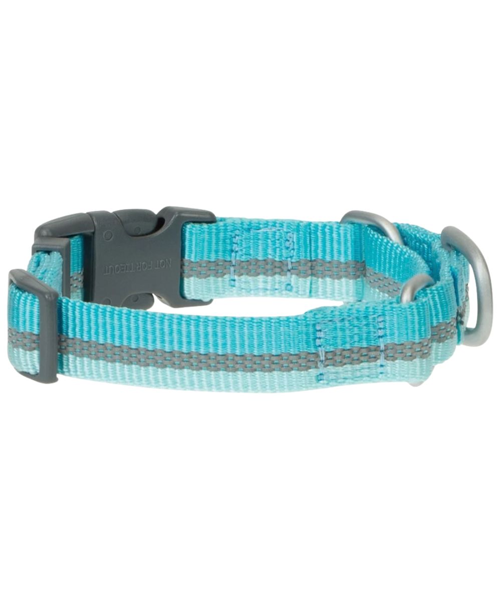 Back view of the Blue Radiance dog collar