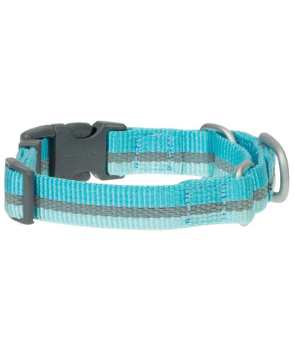 Back view of the Blue Radiance dog collar
