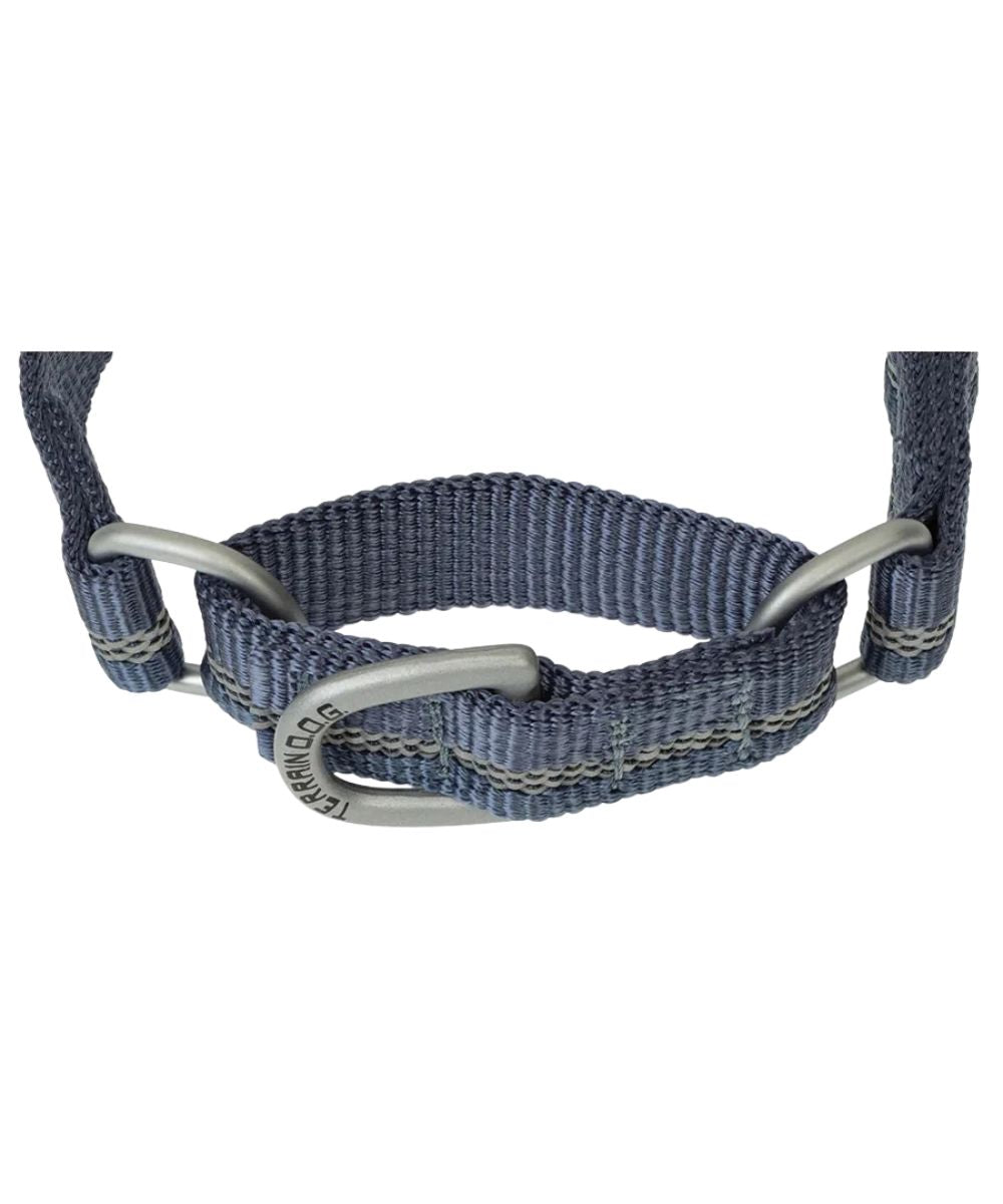 Sargasso Sea colored Terrain D.O.G. reflective martingale dog collar