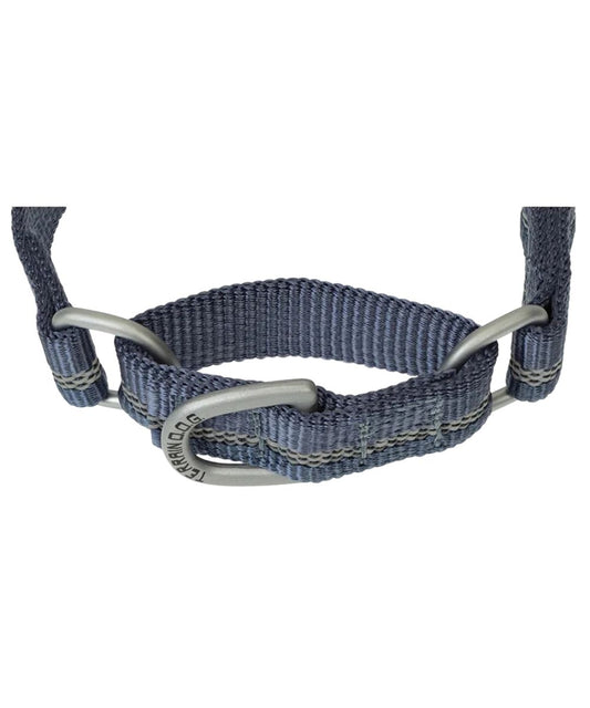 Sargasso Sea colored Terrain D.O.G. reflective martingale dog collar