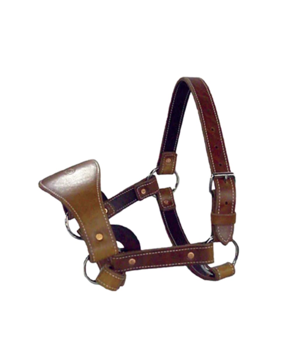 Saddle Barn Bronc Halter