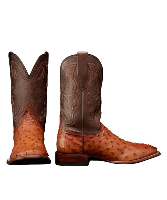 10095 THE EMMITT-a ! desc :  ! caption :