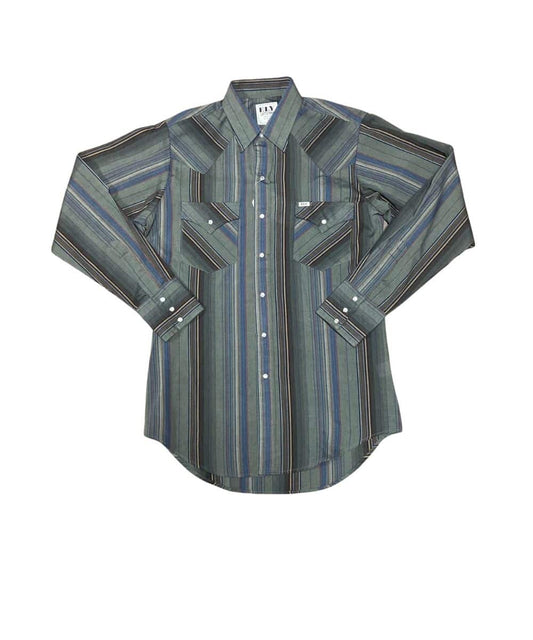 A long-sleeve western-style button-up shirt with vertical stripes in muted blue, green, gray, and brown tones, featuring two chest pockets with button flaps and silver snap buttons.