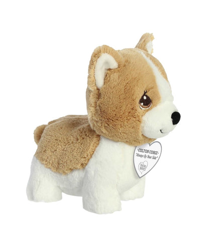 Aurora Colton Corgi