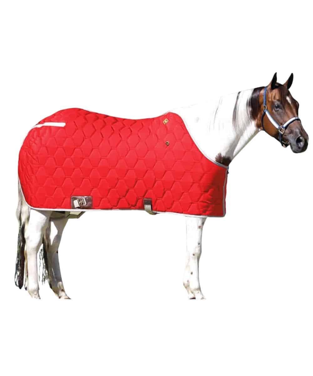 Big D All American Horse Blanket - Cowpokes Work and Western
