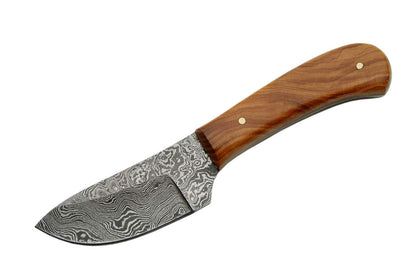 Double D Damascus Skinner Olivewood Handle Fixed Blade Knife