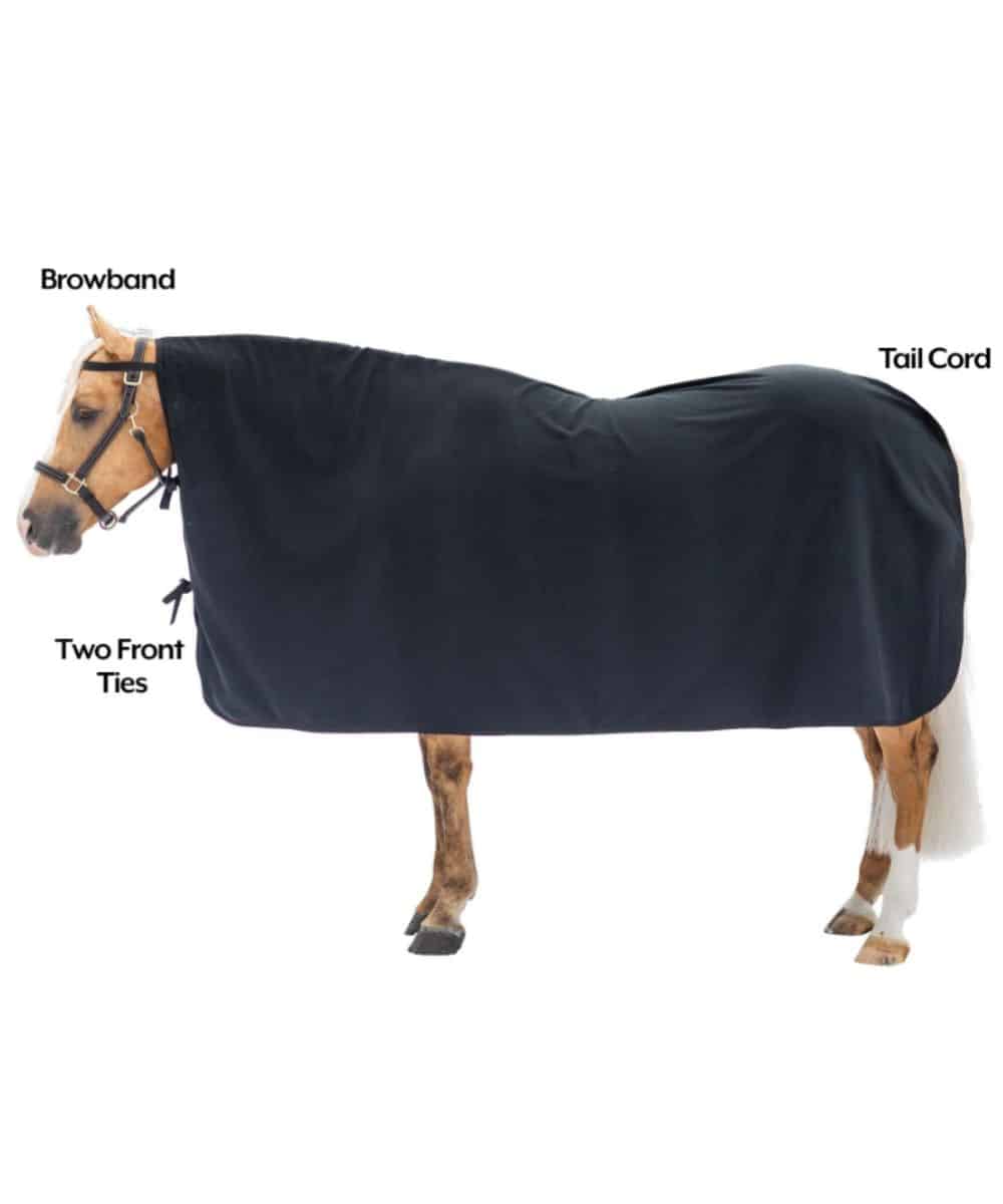 16536-a ! desc :  ! caption :