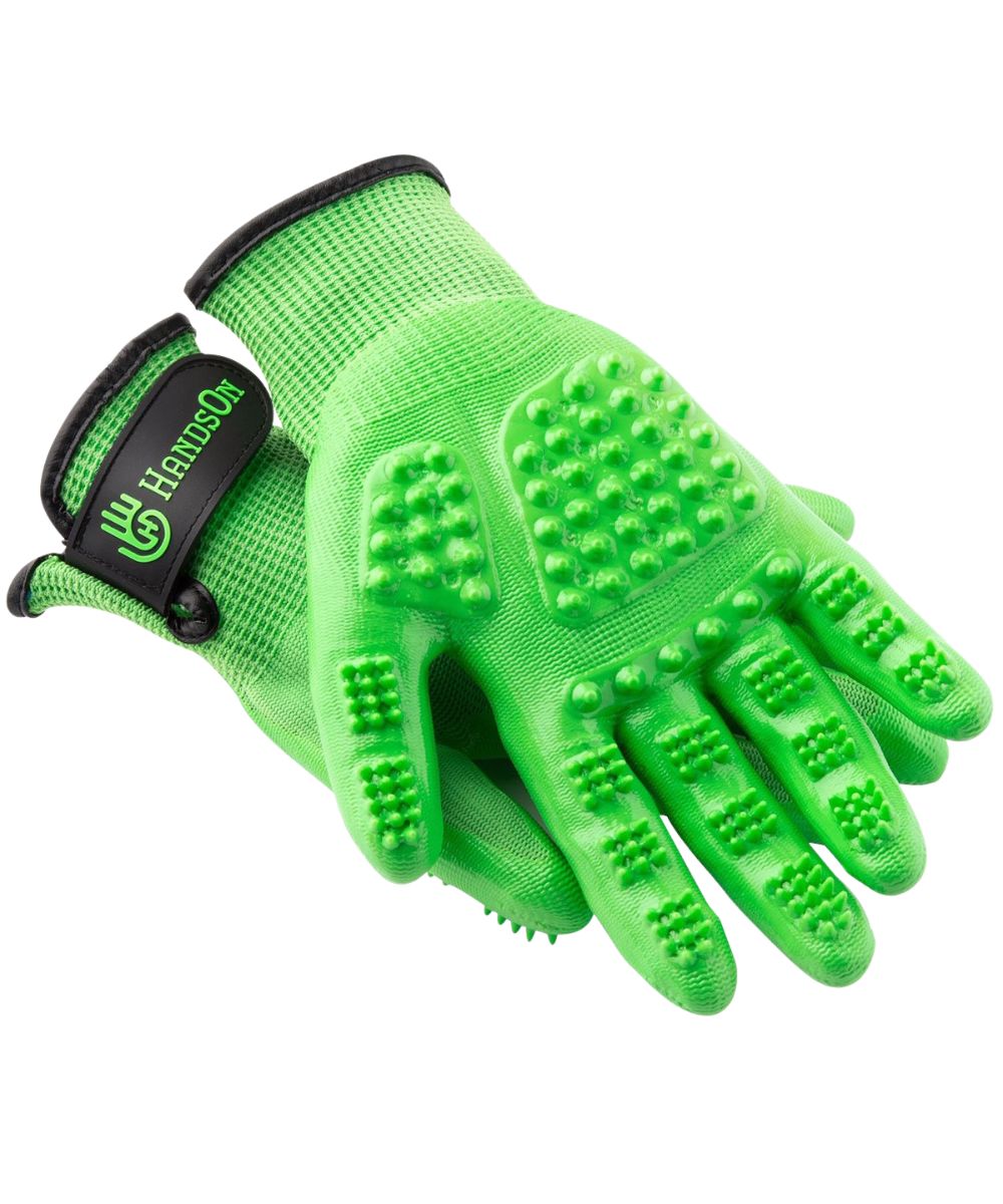 Green Shedding/Grooming Gloves