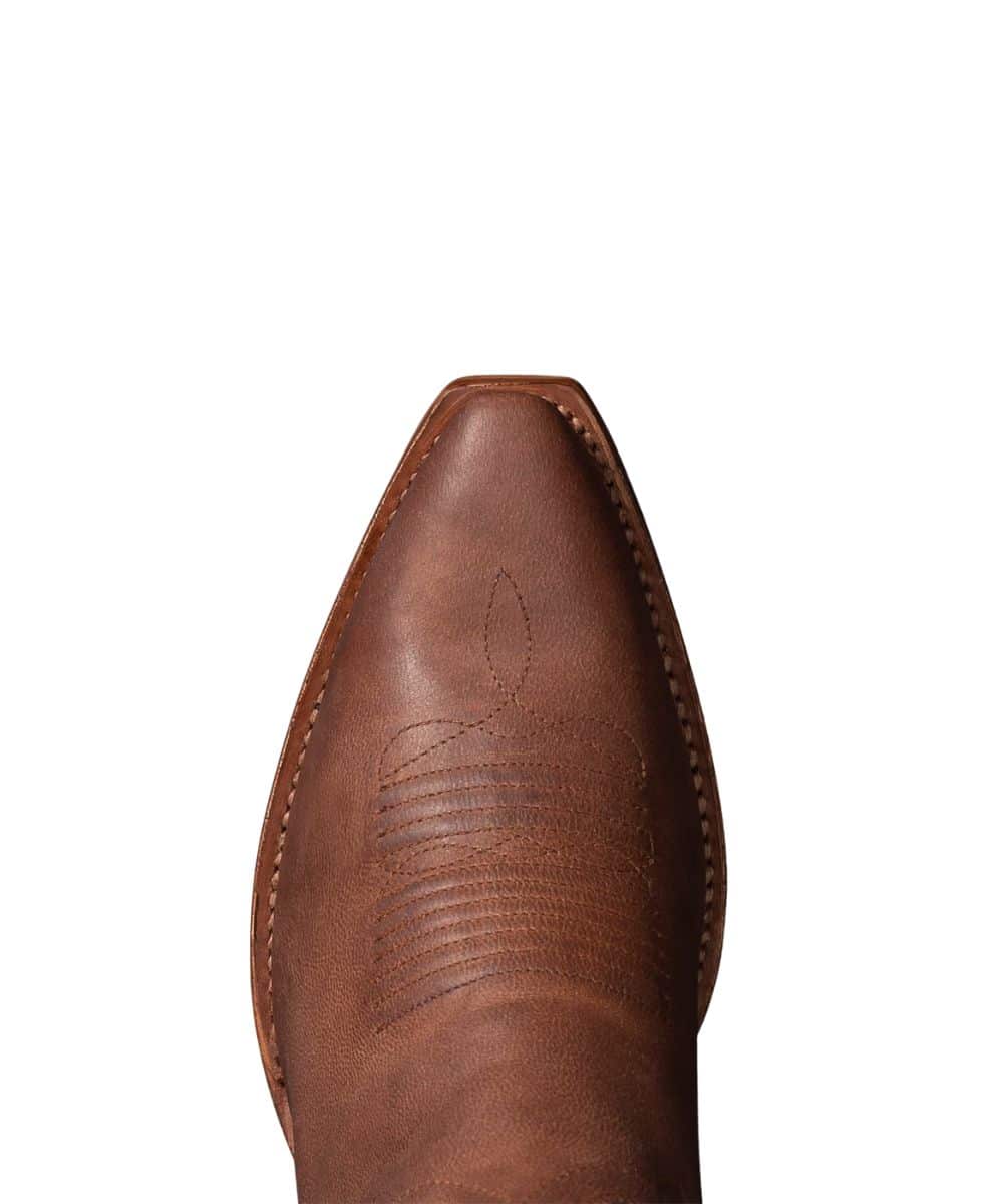 20008 THE DAISY-a ! desc :  ! caption :