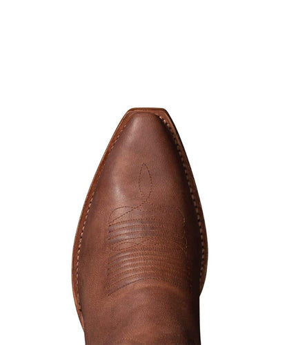 20008 THE DAISY-a ! desc :  ! caption :