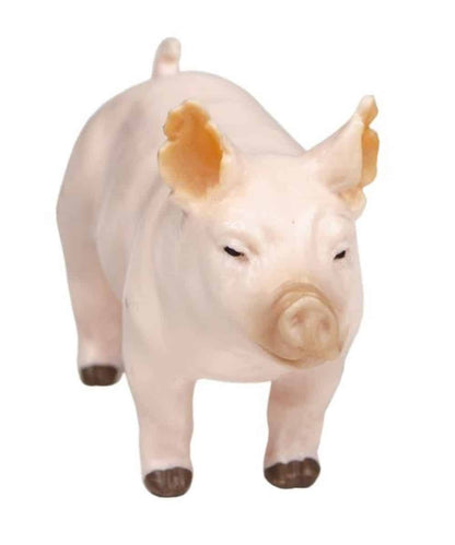 200883-a ! desc :  ! caption :