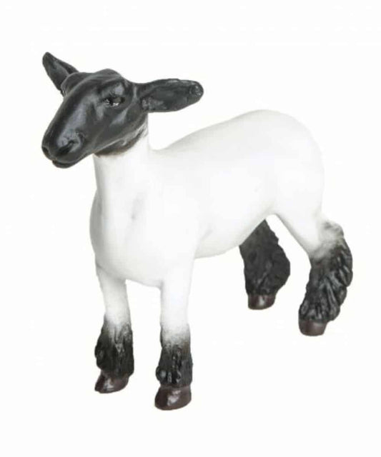 200890-a ! desc :  ! caption :