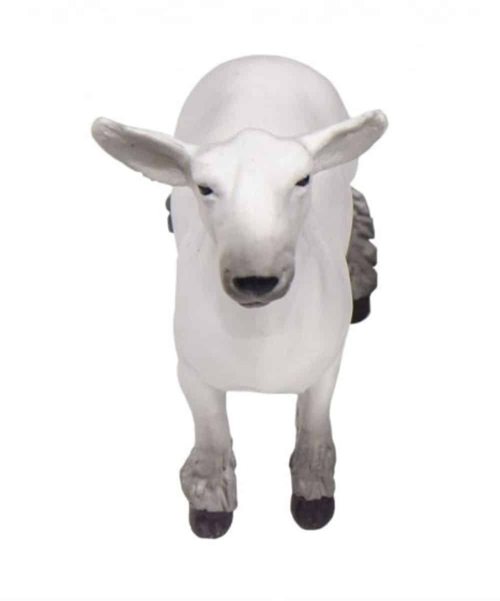 200891-a ! desc :  ! caption :