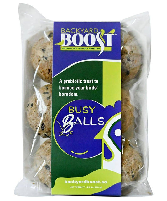 R.J. Matthews Backyard Boost Busy Balls