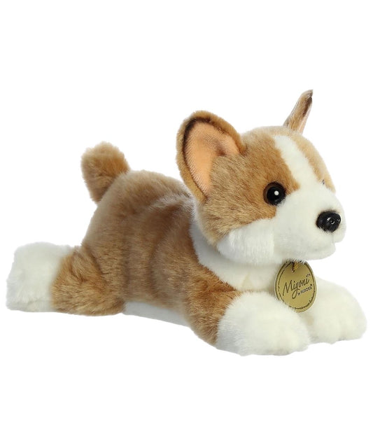 Aurora Corgi