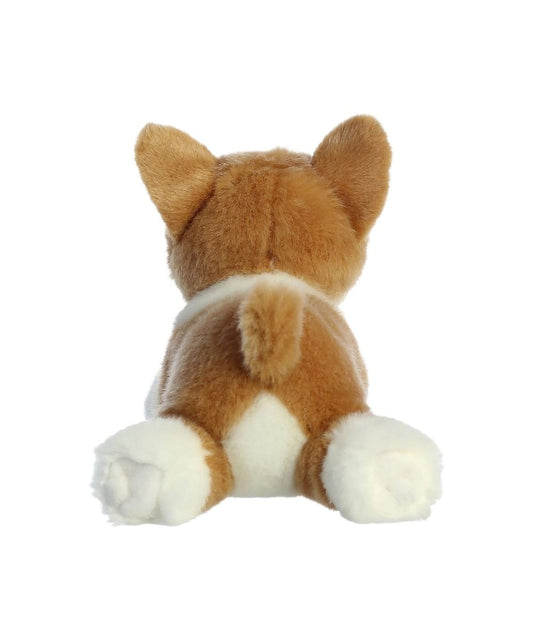 Aurora Corgi