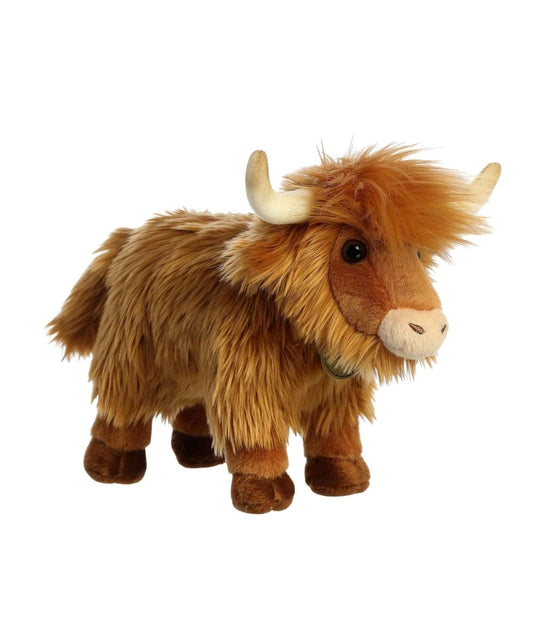 Aurora Highland Cattle