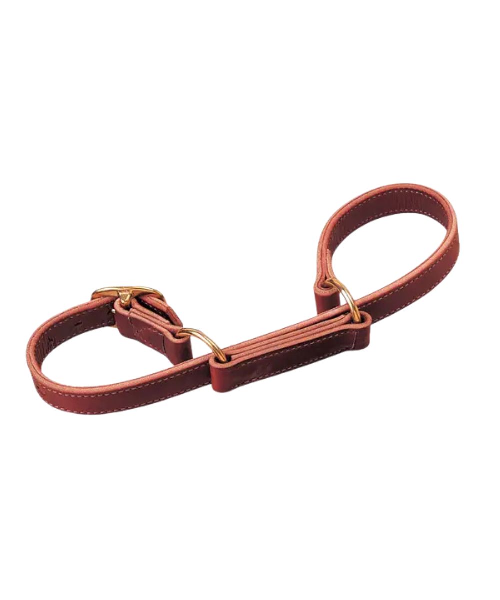Burgundy latigo leather adjustable hobble 1" wide with solid brass/brass plated hardware by Weaver Equine