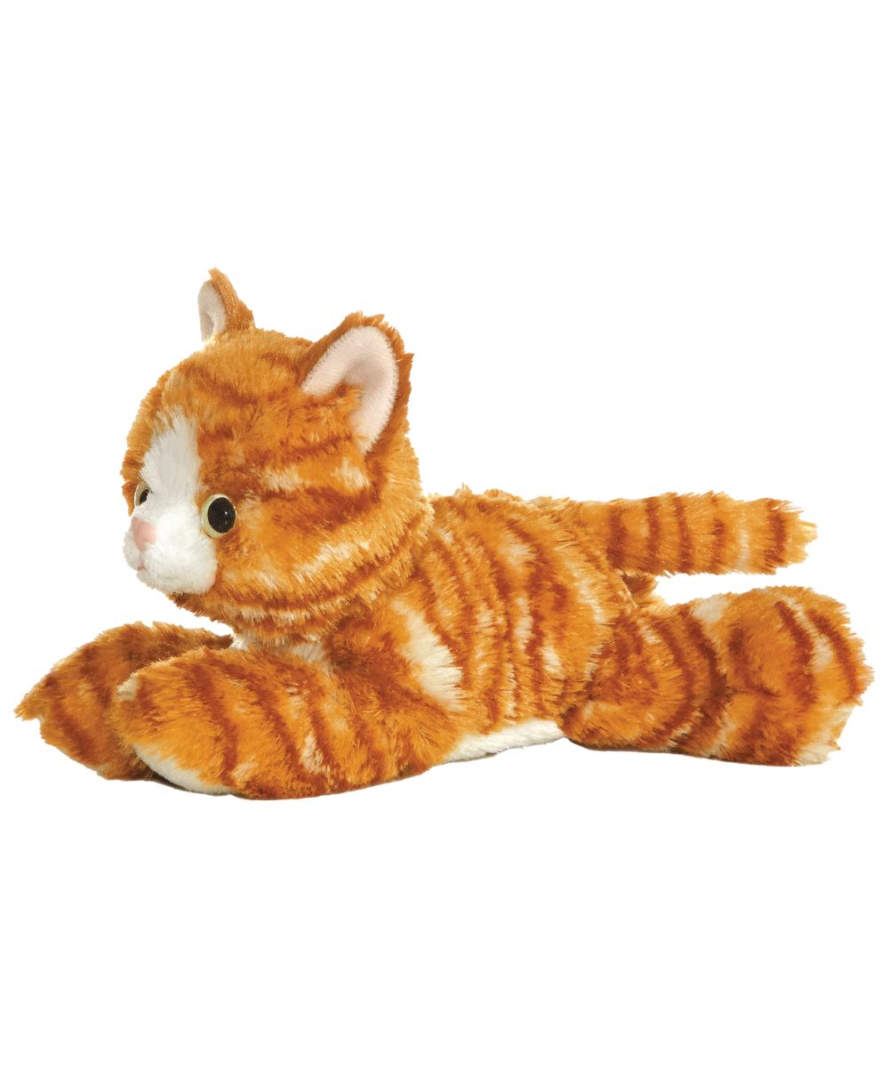 Aurora Molly Cat