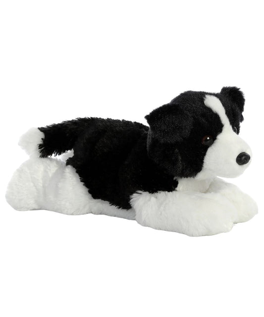 Aurora Border Collie