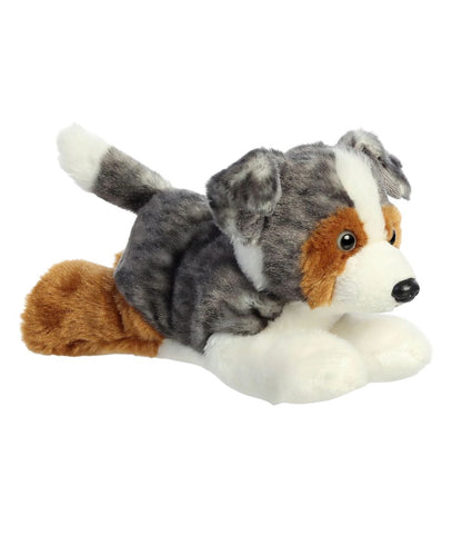 Aurora Australian Shepherd