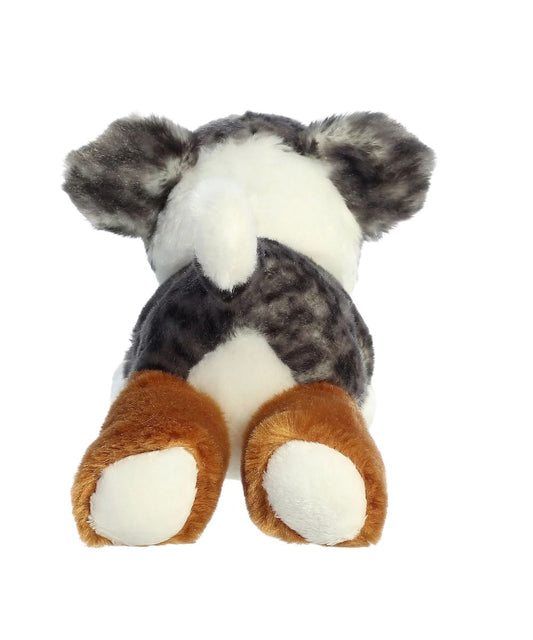 Aurora Australian Shepherd